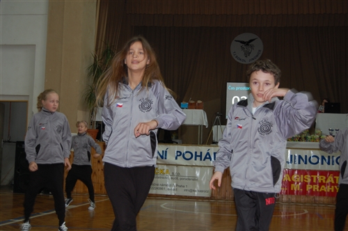 Obrázek v galerii
