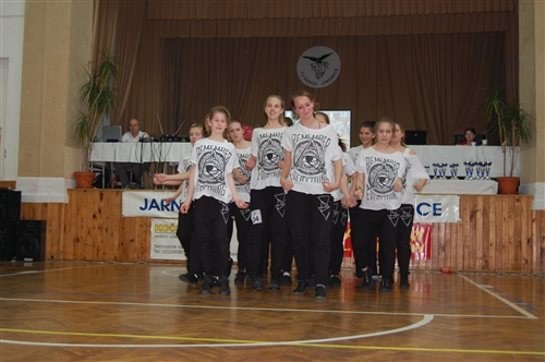 Obrázek v galerii