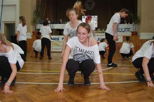 Obrázek v galerii