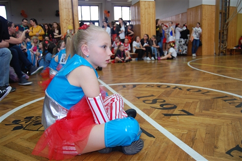 Obrázek v galerii