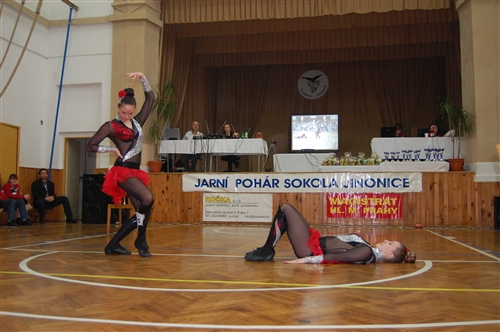 Obrázek v galerii