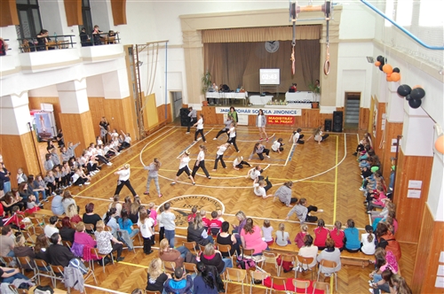 Obrázek v galerii