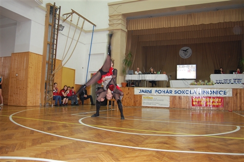 Obrázek v galerii