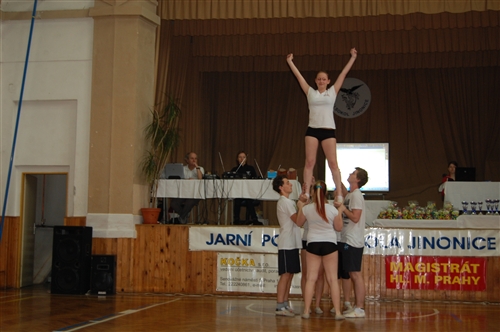 Obrázek v galerii