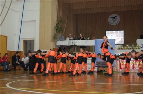 Obrázek v galerii