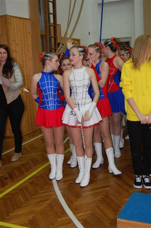 Obrázek v galerii