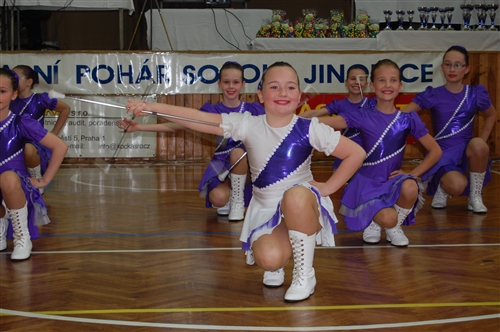 Obrázek v galerii