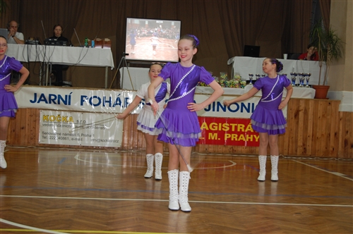 Obrázek v galerii
