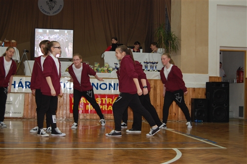 Obrázek v galerii
