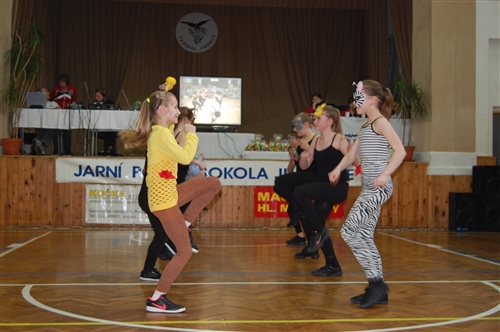 Obrázek v galerii