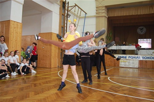 Obrázek v galerii