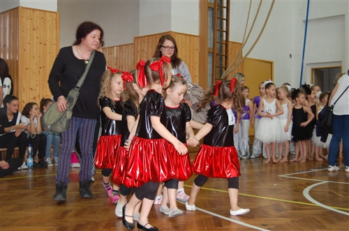 Obrázek v galerii