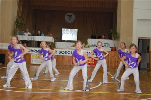 Obrázek v galerii