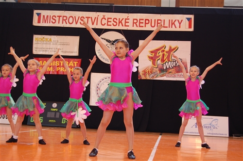 Obrázek v galerii