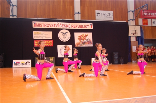 Obrázek v galerii