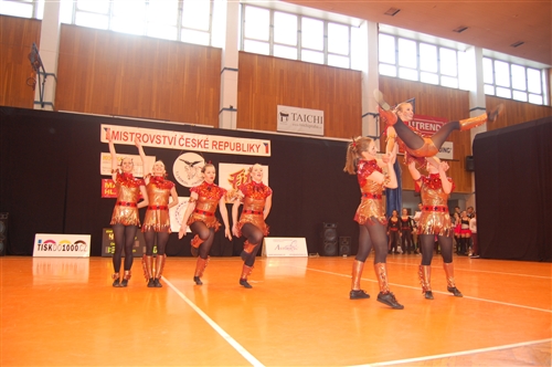 Obrázek v galerii