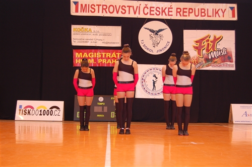Obrázek v galerii