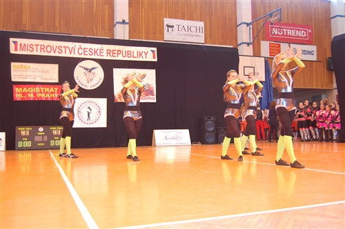 Obrázek v galerii
