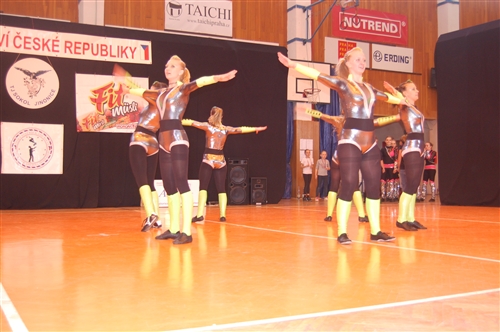 Obrázek v galerii
