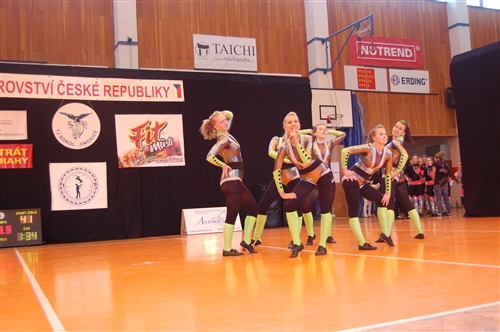 Obrázek v galerii