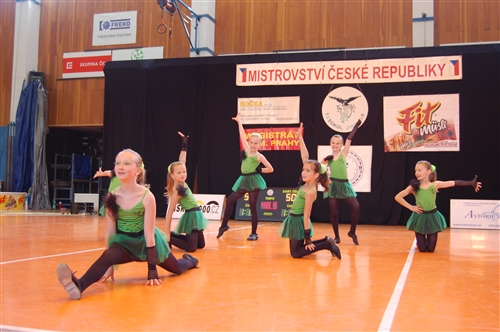 Obrázek v galerii
