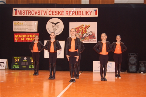 Obrázek v galerii