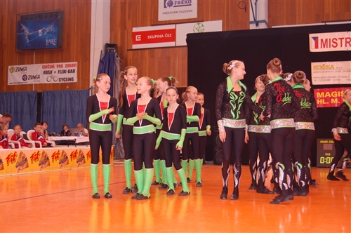 Obrázek v galerii