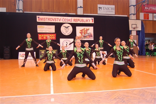Obrázek v galerii