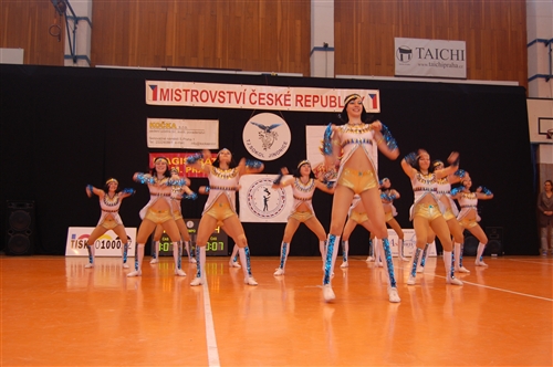 Obrázek v galerii