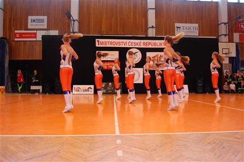 Obrázek v galerii