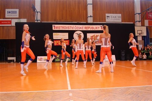 Obrázek v galerii