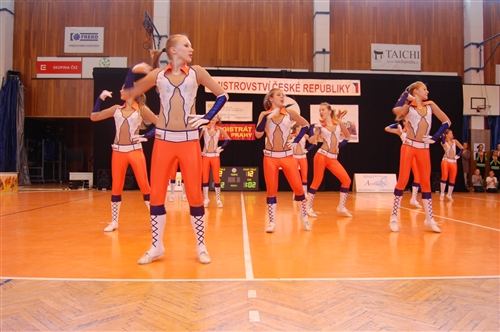 Obrázek v galerii