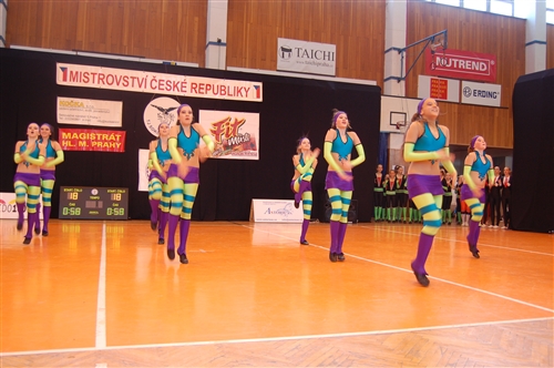 Obrázek v galerii