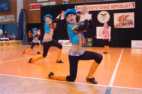 Obrázek v galerii