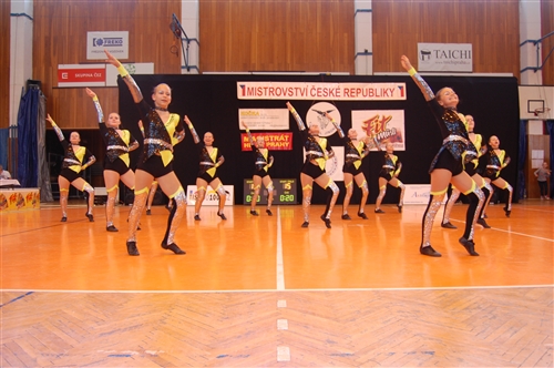Obrázek v galerii