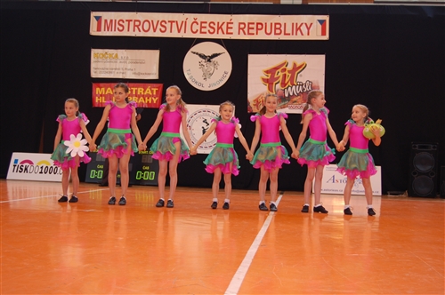 Obrázek v galerii