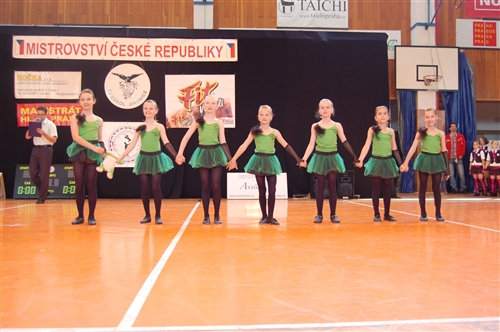 Obrázek v galerii