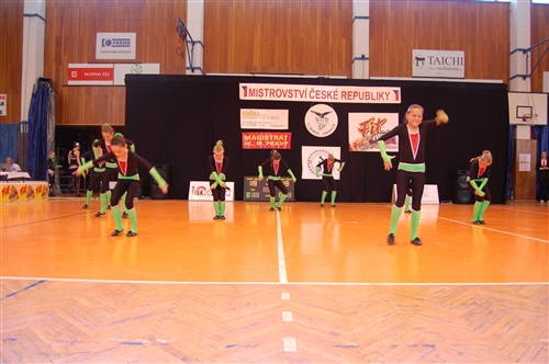 Obrázek v galerii