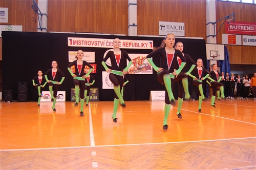 Obrázek v galerii