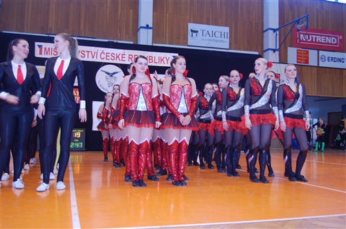 Obrázek v galerii