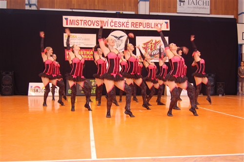 Obrázek v galerii