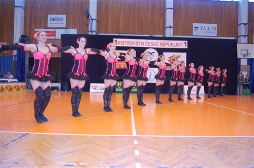 Obrázek v galerii