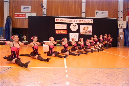 Obrázek v galerii