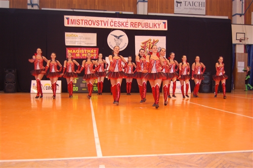 Obrázek v galerii