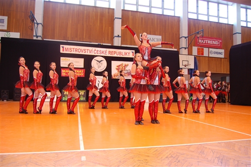 Obrázek v galerii
