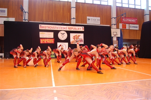Obrázek v galerii