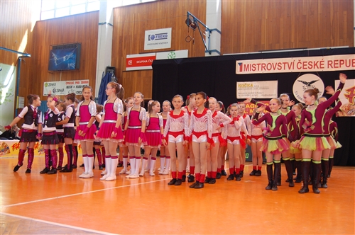 Obrázek v galerii