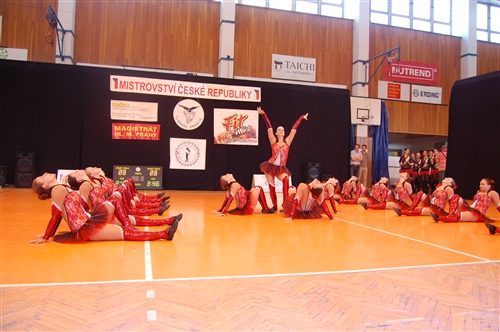Obrázek v galerii