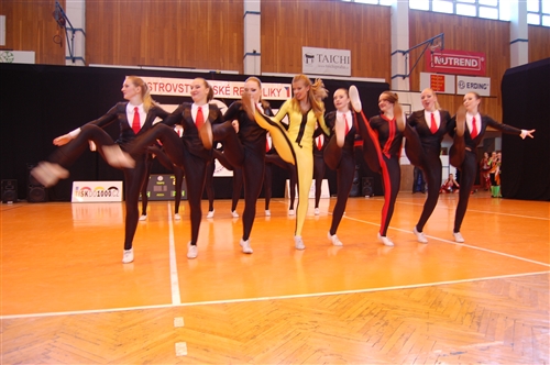 Obrázek v galerii