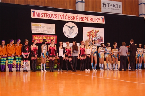 Obrázek v galerii